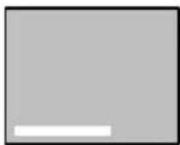 EPSON EMP-505 - - Mensajes - 2