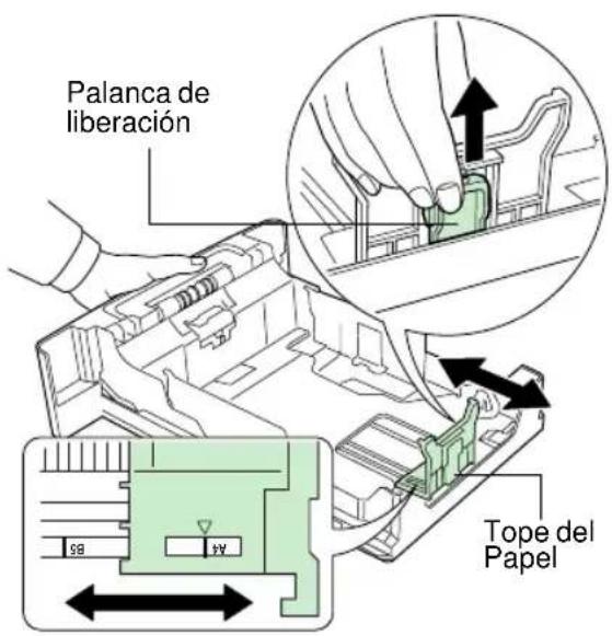 Palanca de liberación Tope del Papel