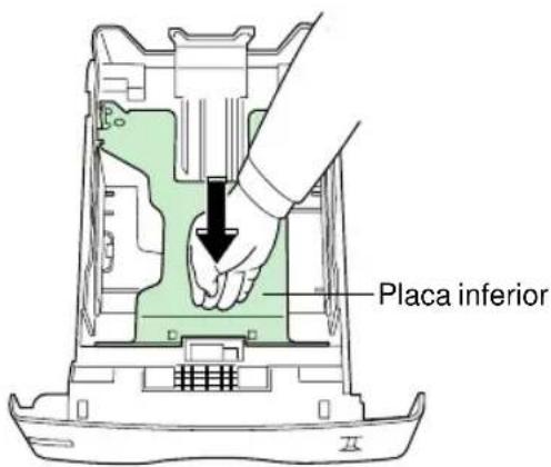 Placa inferior