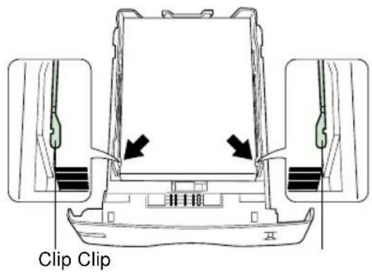 Clip Clip