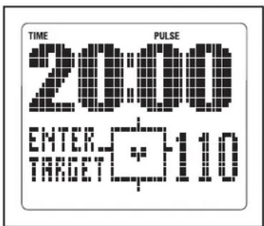 TIME PULSE 20:00 ENTER-110 TARGET-110
