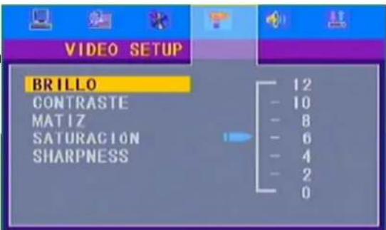 VIDEO SETUP BRILLO CONTRASTE MATIZ SATURACION SHARPNESS 12 10 8 6 4 2 0