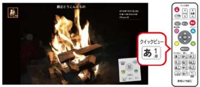 最近とりこんだもの 2019年1月31日(祝) 年齢:11歳(祝)54分 iPhone 5E クイックビュー あ1 おはいばに