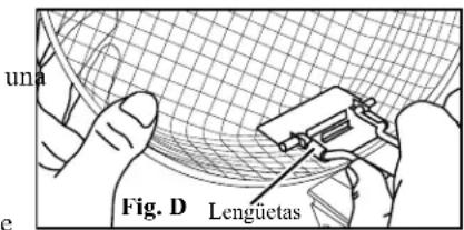 una e Fig. D Lenguetas