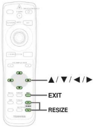 EXIT RESIZE