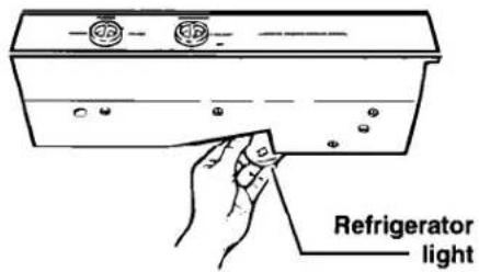Refrigerator light