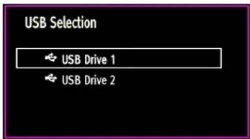 USB Selection USB Drive 1 USB Drive 2