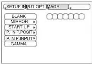 .SETUP INPUT OPT.MAGE BLANK MIRROR START UP P.IN P.POSIT P.IN P.INPUT GAMMA
