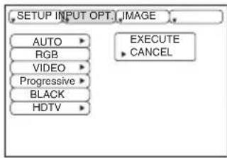 SETUP INPUT OPT. IMAGE AUTO RGB VIDEO Progressive BLACK HDTV EXECUTE CANCEL