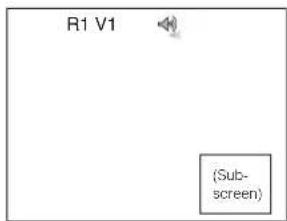 R1 V1 (Sub- screen)