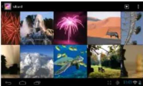 Grid of nine nature and tourism images including fireworks, desert landscapes, and ocean scenes (no text or symbols)