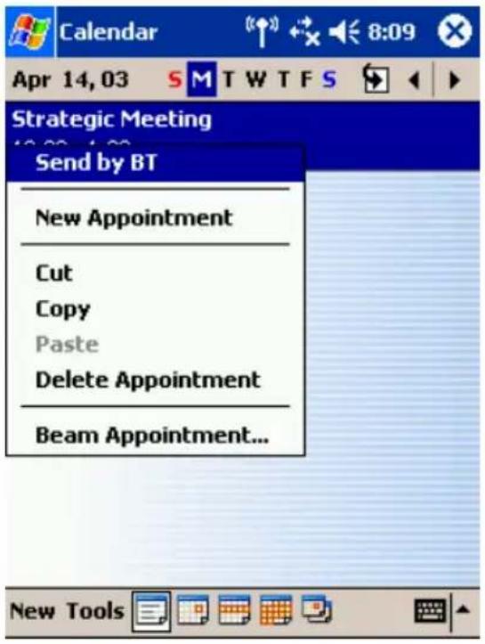 Calendar Apr 14, 03 SMTW TFS Strategic Meeting Send by BT New Appointment Cut Copy Paste Delete Appointment Beam Appointment... New Tools