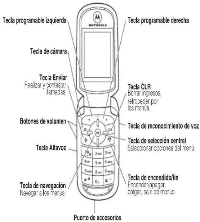 Tecla programable izquierda Tecla de cámara Tecla Enviar Realizar y contestar llamadas. Botones de volumen Tecla Altavoz Tecla de navegación Navegar a los menús. Puerto de accesorios Tecla programable derecha Tecla CLR Borrar ingresos, retroceder por los menús. Tecla de reconocimiento de voz Tecla de selección central Seleccionar opciones del menú. Tecla de encendido/fin Encender/apagar, colgar, salir de menús.