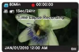 80Min 00:00:00 1Sec/24Hr Time Lapse Recording JAN/01/2010 12:00 AM