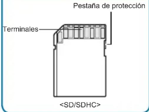 Pestaña de protección Terminales