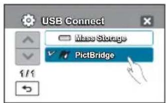 USB Connect Mass Storage PictBridge