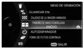TOSHIBA Gigashot GSC-A40FE - Ajuste del tamaño de la imagen congelada - 3