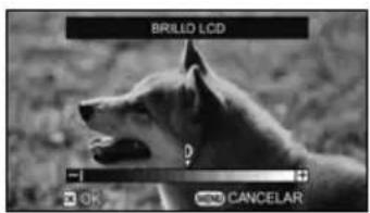 TOSHIBA Gigashot GSC-A40FE - Cambio del brillo del LCD desde el Menú de grabación (o lectura) - 4