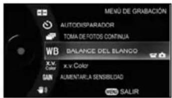 TOSHIBA Gigashot GSC-A40FE - ATENCIÓN - 2