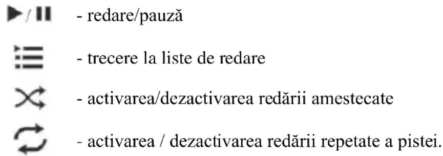 - redare/pauză - trecere la liste de redare - activarea/dezactivarea redării amestecate - activarea / dezactivarea redării repetate a pistei.