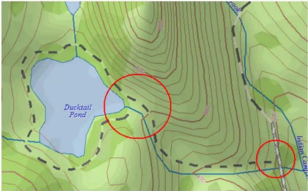 Ducktail Pond