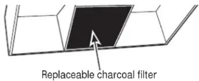 Replaceable charcoal filter