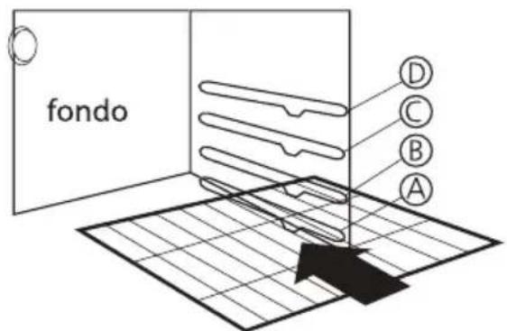 fondo D C B A