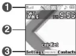 1 RAT JAN 5 9:56 2 cricket Settings Contacts