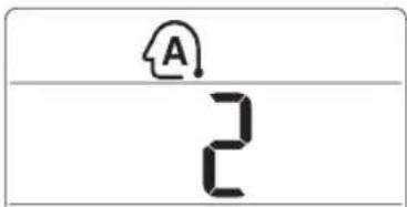 A 2