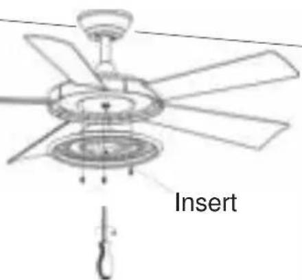 Insert