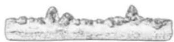 Regency Greenfire GFi750 - 1 - 1