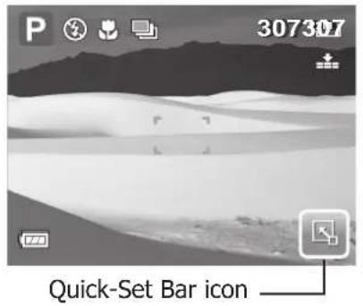P 307307 Quick-Set Bar icon