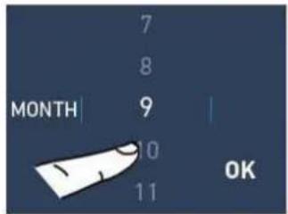 7 8 MONTH 9 10 11 OK