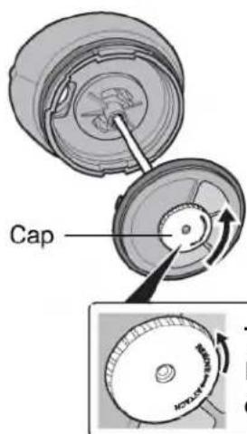 Cap