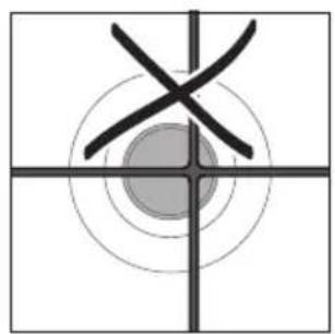 X