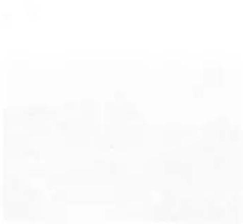 Completely blank white image with no visible content, text, or symbols.