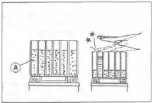Diagram showing two test tubes with different liquid levels and a hand holding a star-shaped object above them, labeled with letter A.