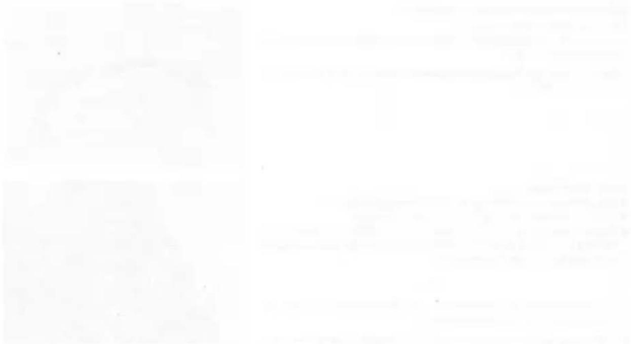 Completely blank white image with no visible content, text, or symbols.