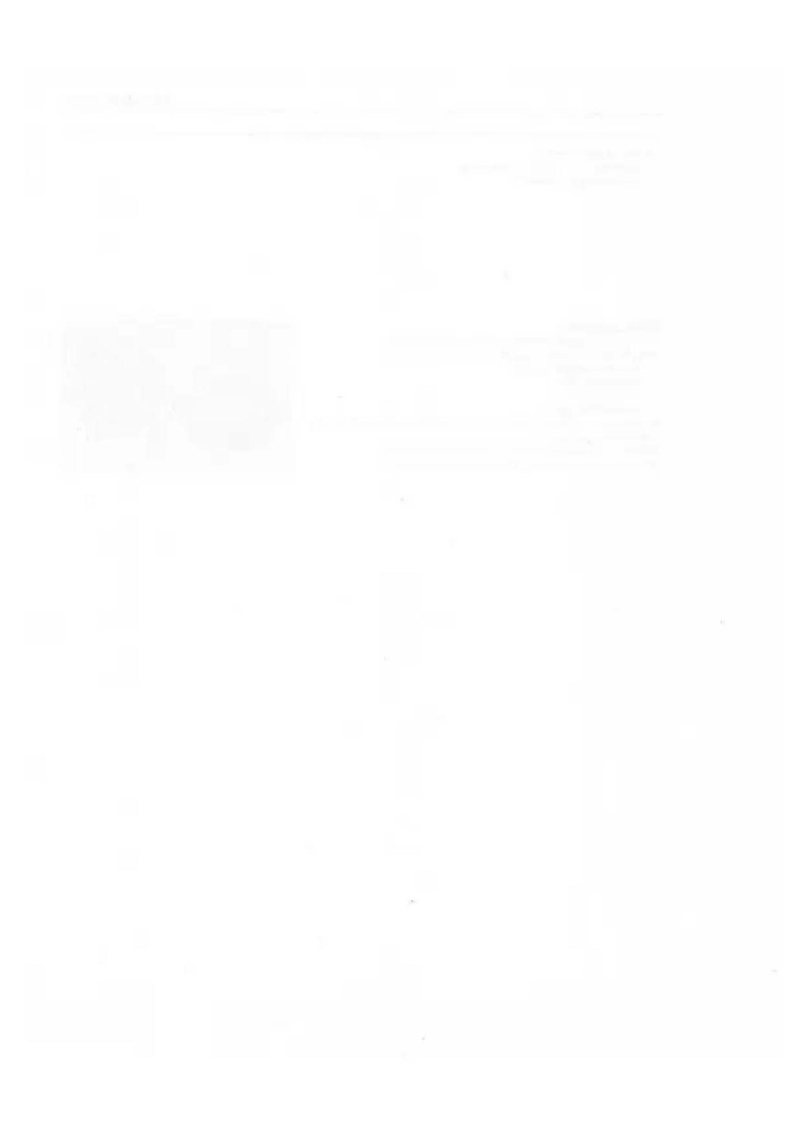 Completely blank white image with no visible content, text, or symbols.