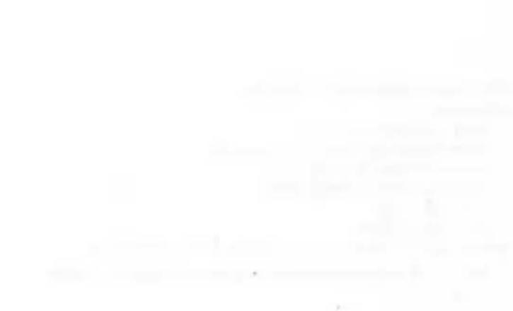Completely blank white image with no visible content, text, or symbols.