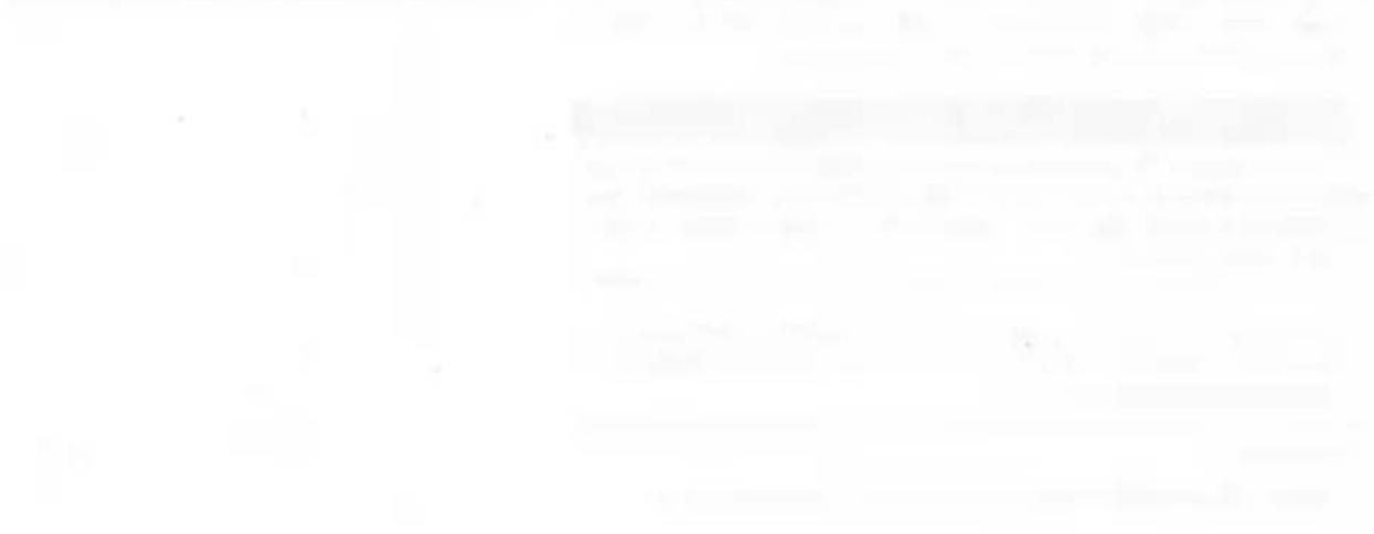 Completely blank white image with no visible content, text, or symbols.