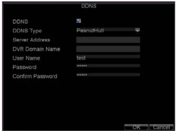 DDNS DDNS DDNS Type PeanutHull Server Address DVR Domain Name User Name test Password ****** Confirm Password ****** OK Cancel