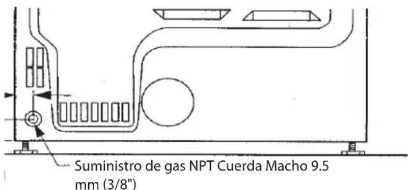 Suministro de gas NPT Cuerda Macho 9.5 mm (3/8")