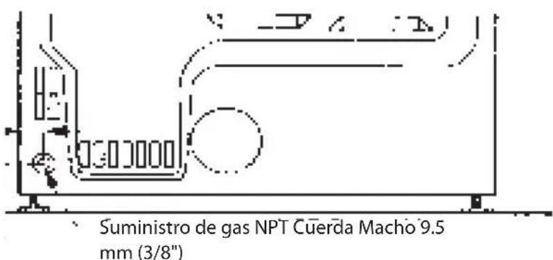Suministro de gas NPT Cuerda Macho 9.5 mm (3/8")