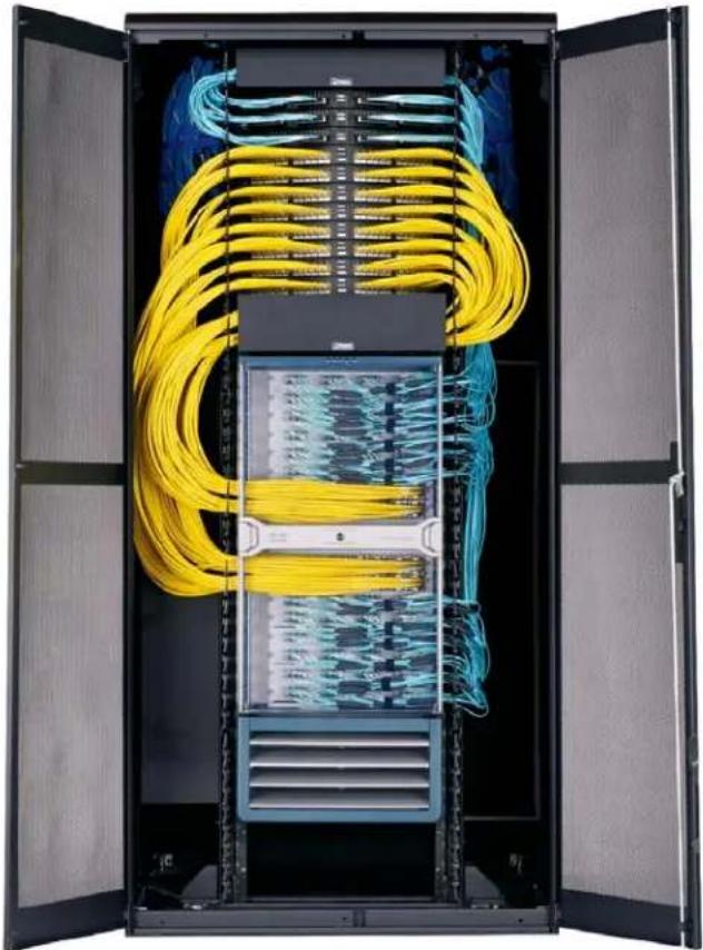 Panduit TLBP1R-V - Cable management fingers route, manage and protect high cable densities - 1