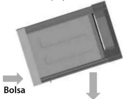 Bolsa
