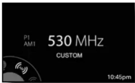 P1 AM1 530 MHz CUSTOM 10:45pm