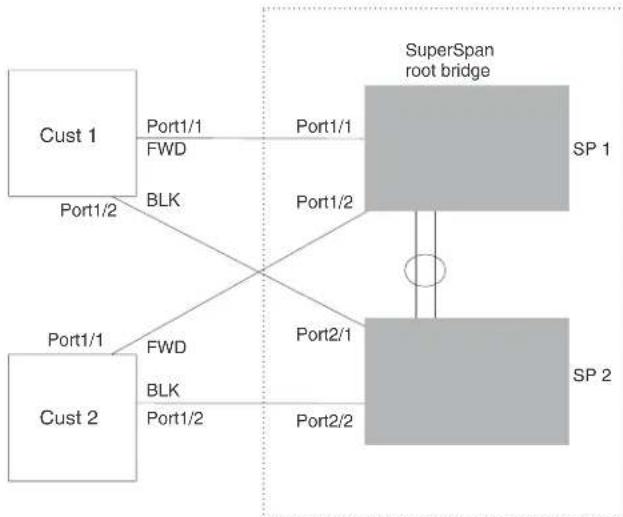 DELL PowerConnect B-RX16 - SuperSpan™ - 1