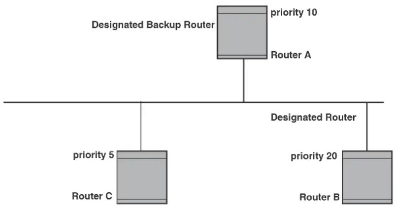 DELL PowerConnect B-RX16 - Designated router election in multi-access networks - 1