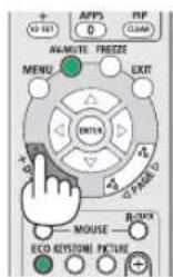 NEC PE506WL - Press the D-ZOOM (-) button to magnify the picture. - 1